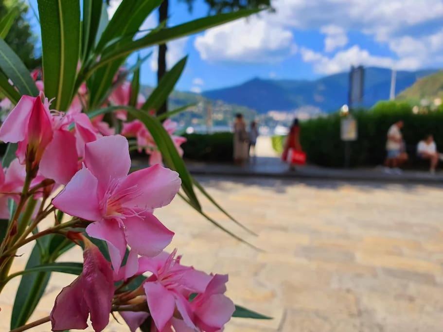 Plaza Deluxe Modern Center House - View Como Lake - Top Privacy Esterno foto